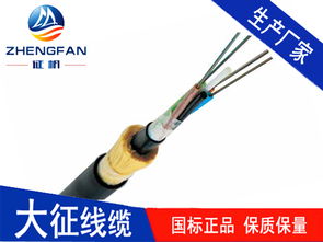网络基础设施基石 浅析光纤电缆在现代传输中的关键作用与展望